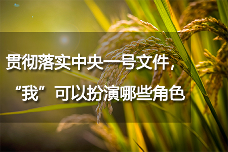 貫徹落實(shí)中央一號(hào)文件，“我”可以扮演哪些角色？